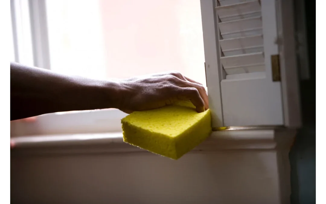 pięlęgnacja plis okiennych