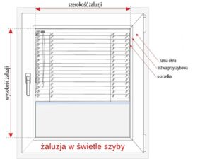 żaluzje w świetle szyby